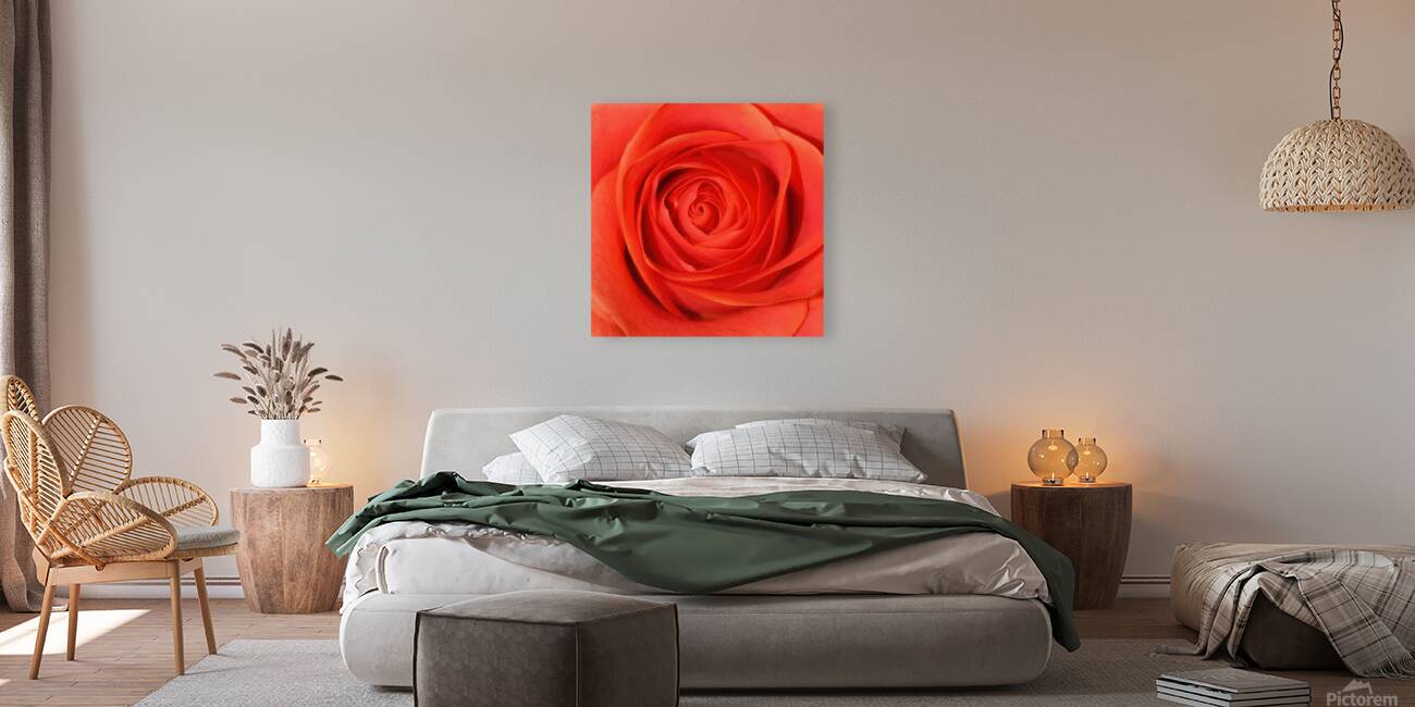 Georgia OKeeffe 26 Reproduction