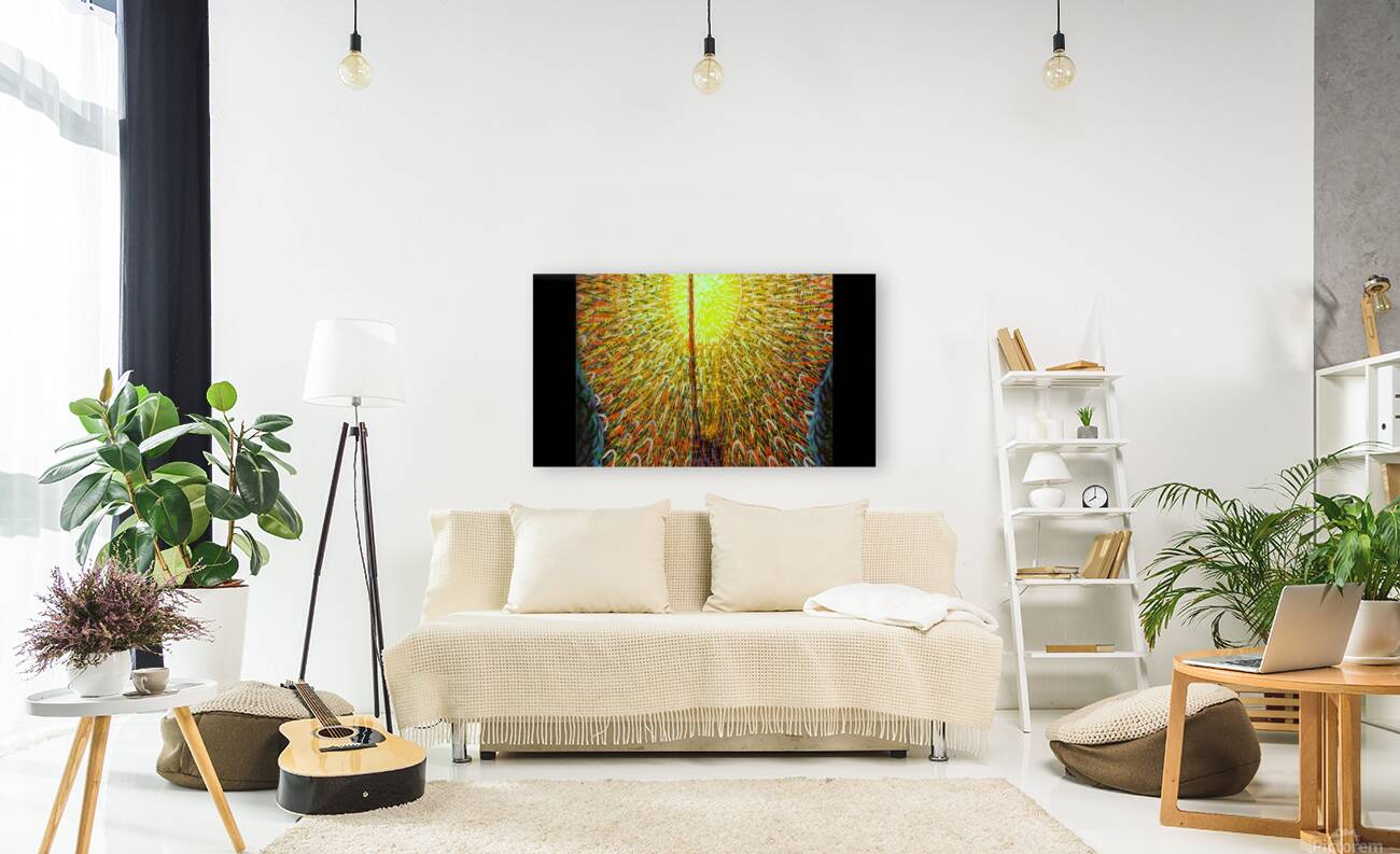 Artwork by Giacomo Balla  42 Reproduction