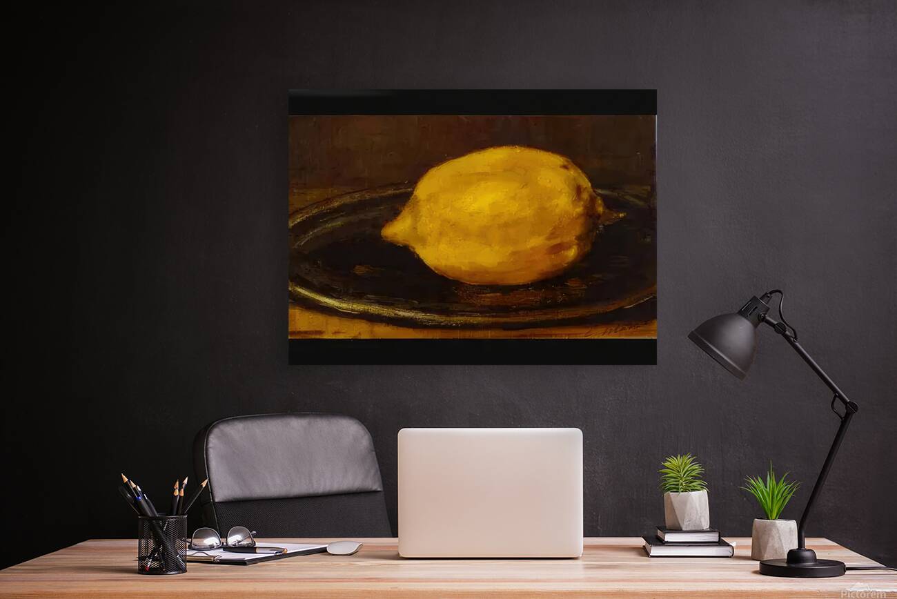 Edouard Manet  30 Reproduction