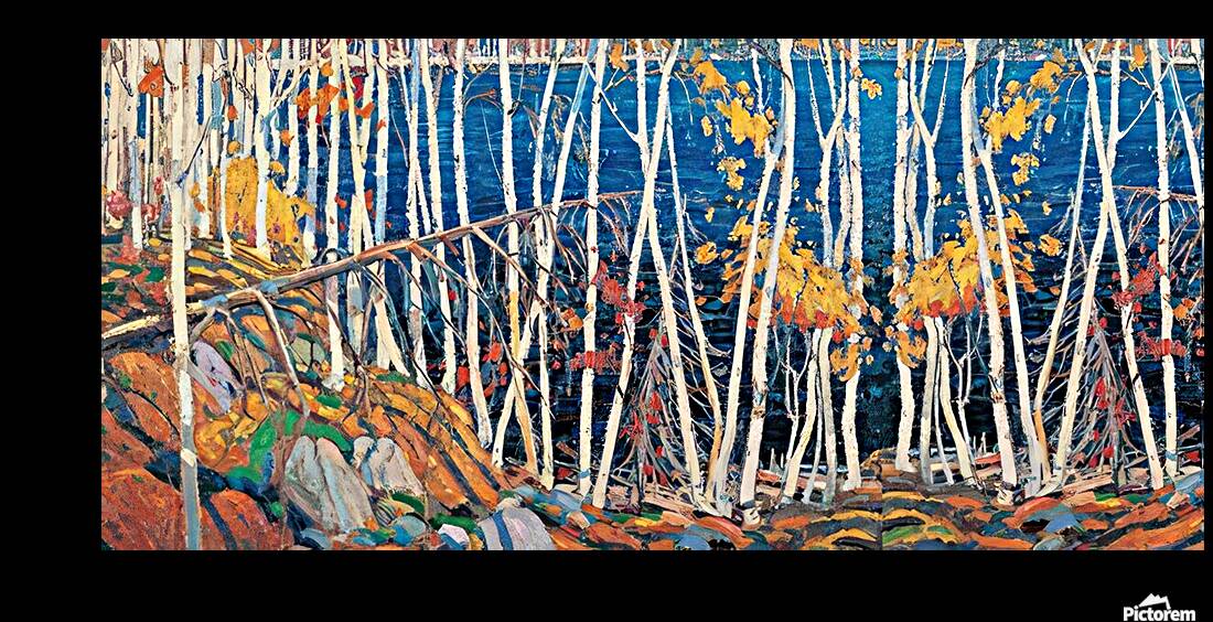 Tom Thomson 25 Reproduction