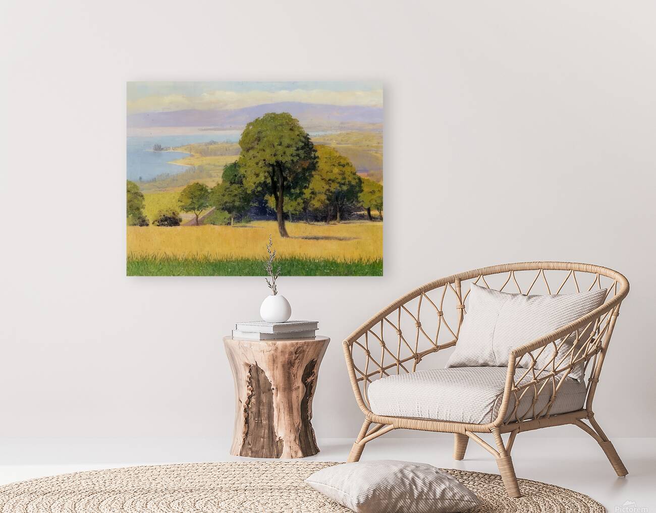 Félix Thiollier 2 Reproduction