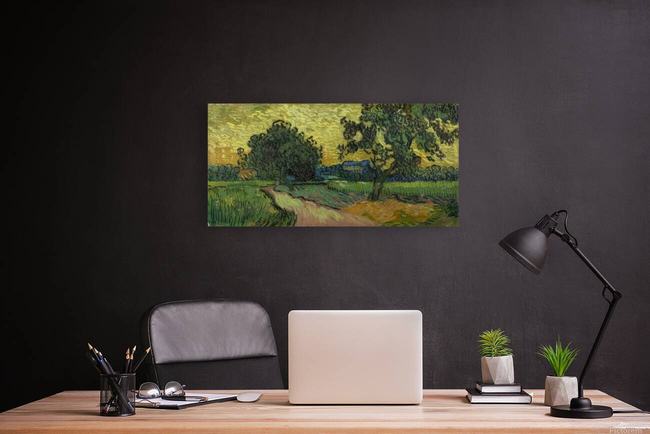 Vincent van Gogh 46 Reproduction