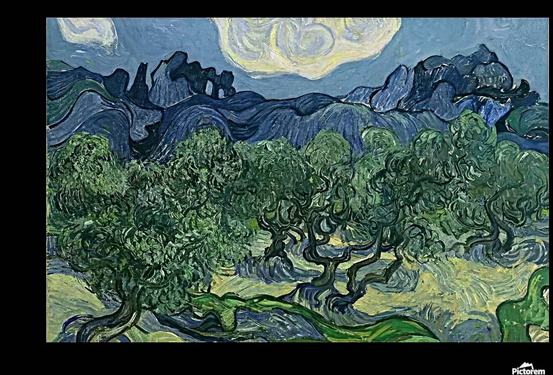 Vincent van Gogh 17 Reproduction