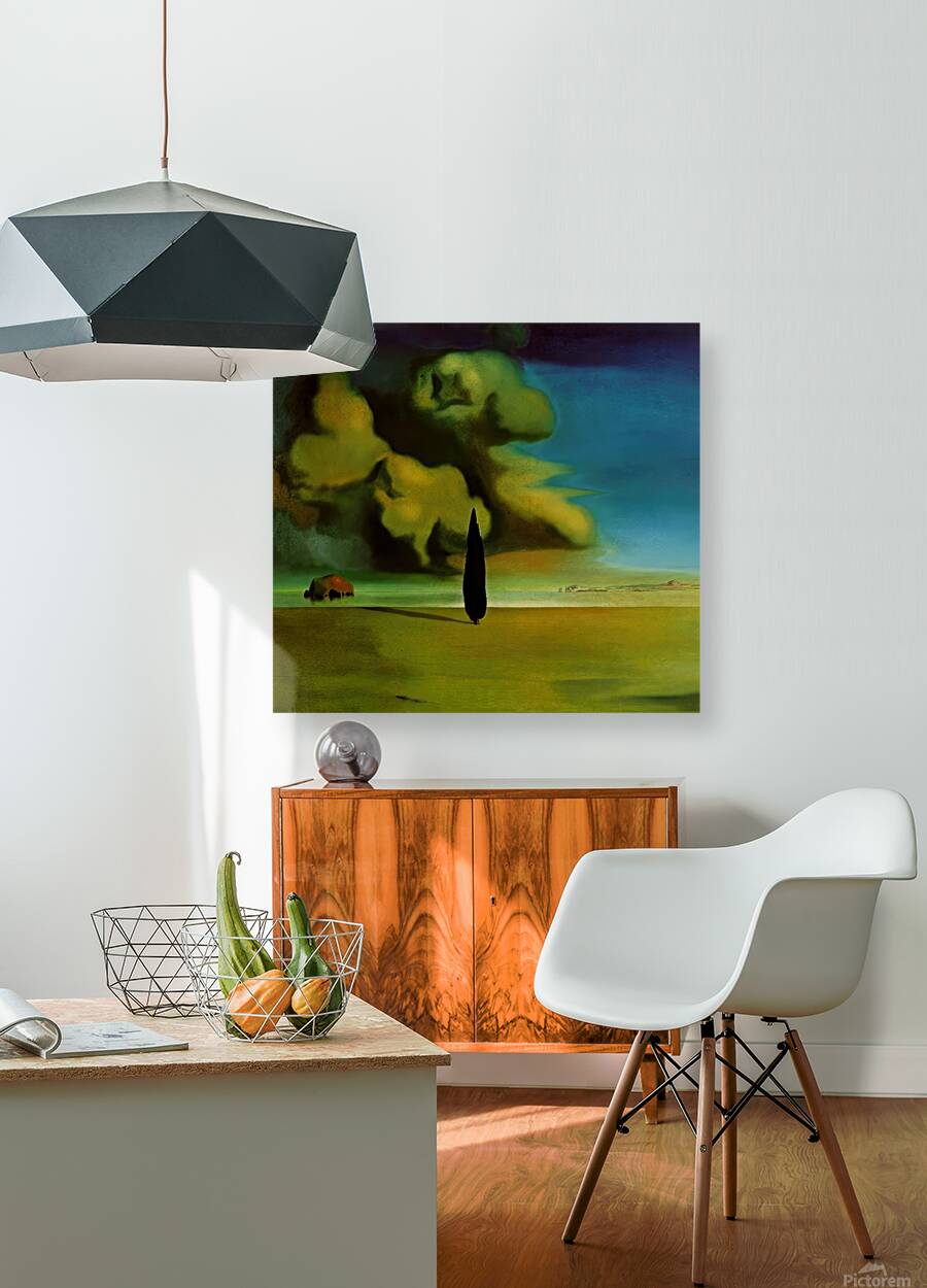 Salvador Dalí 29 Reproduction