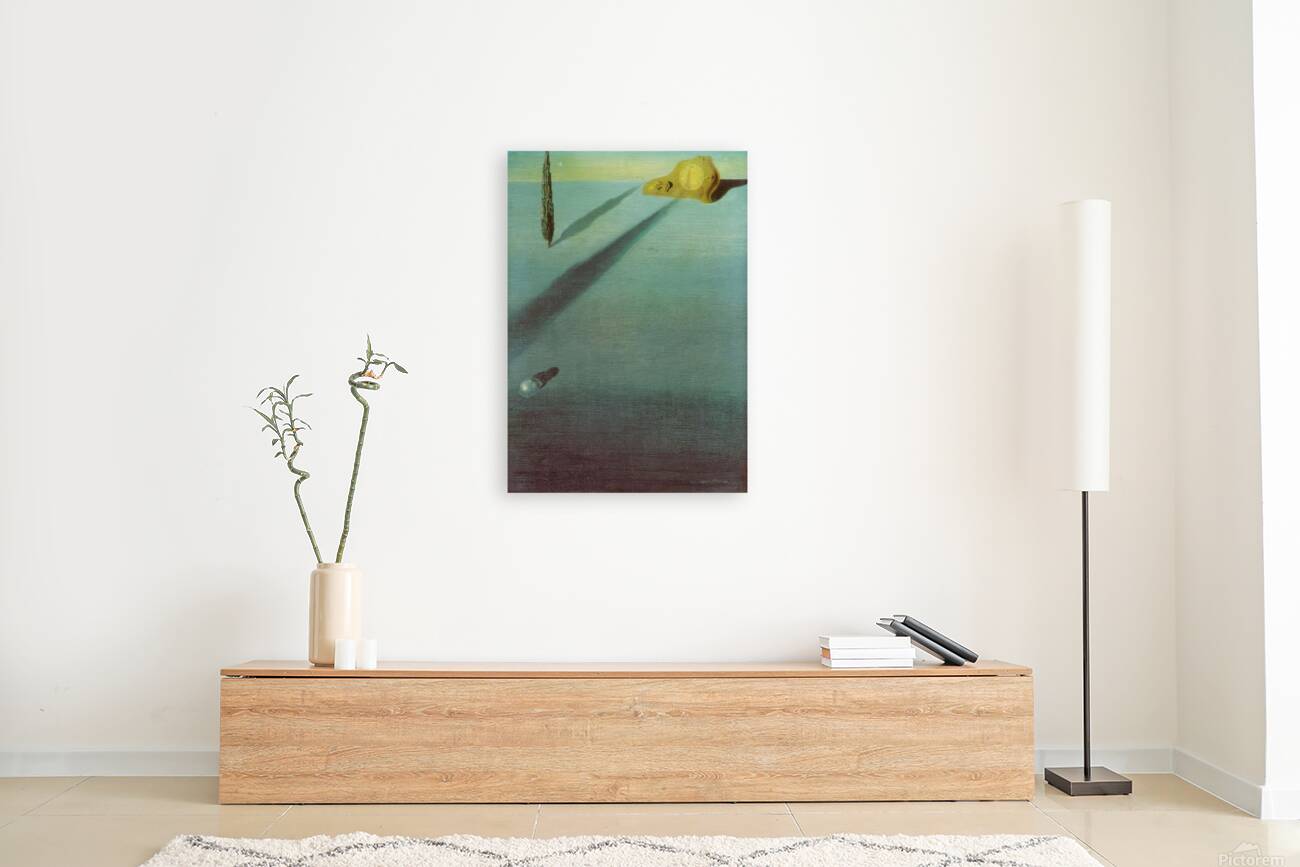 Salvador Dalí 9 Reproduction