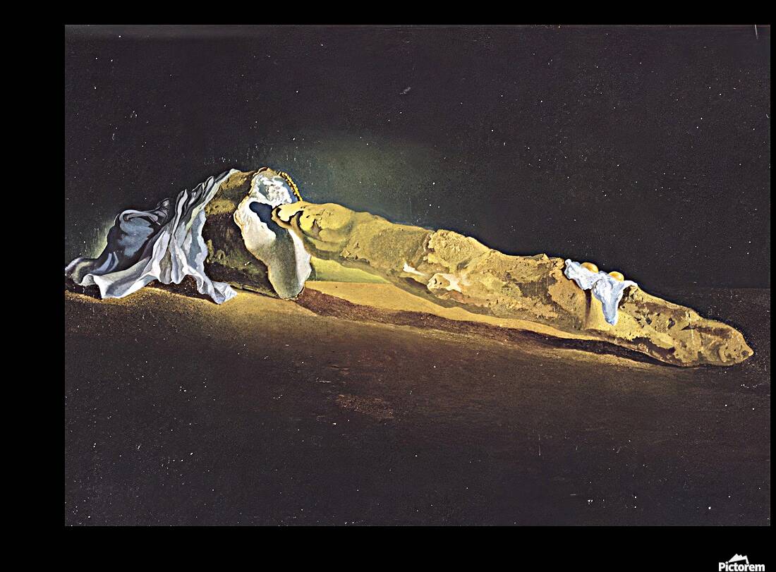 Salvador Dalí 27 Reproduction