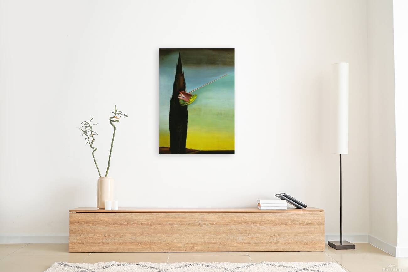 Salvador Dalí 30 Reproduction