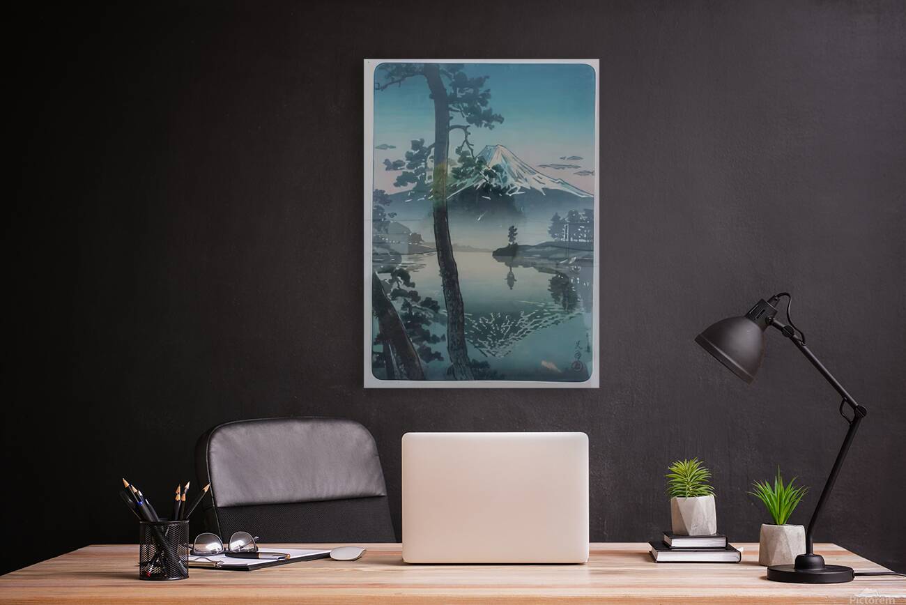 suchiya Koitsu 29 Reproduction