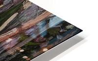 Tom Thomson 7 HD Metal print