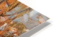 Tom Thomson 72 HD Metal print