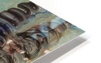 Emily Carr 38 HD Metal print