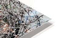 Jackson Pollock 2 HD Metal print
