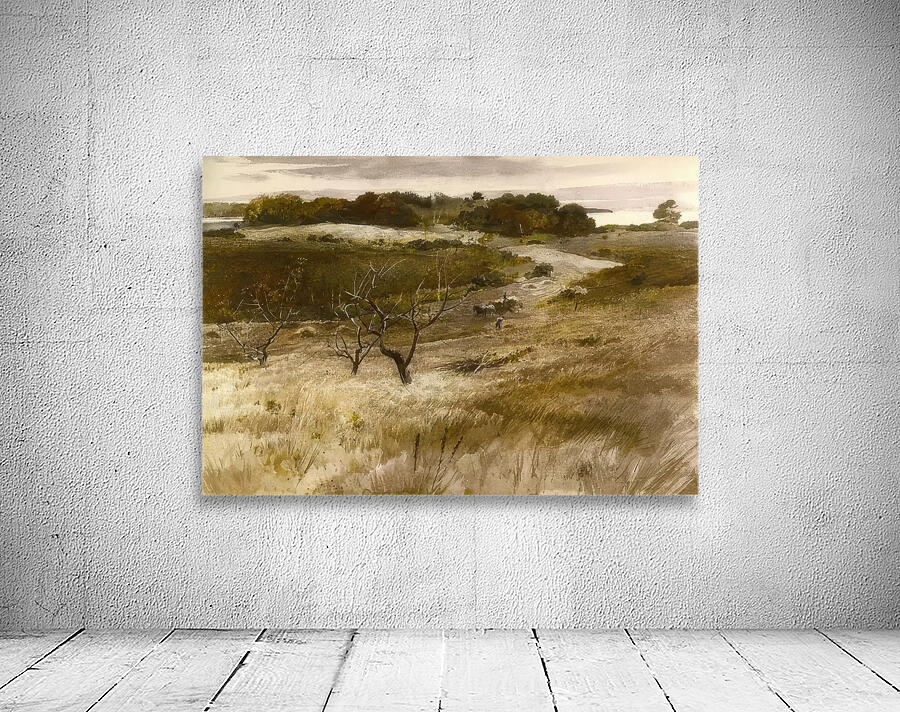 Andrew Wyeth Wall Preview