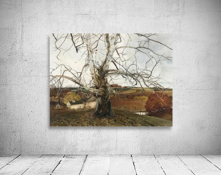 Andrew Wyeth Wall Preview