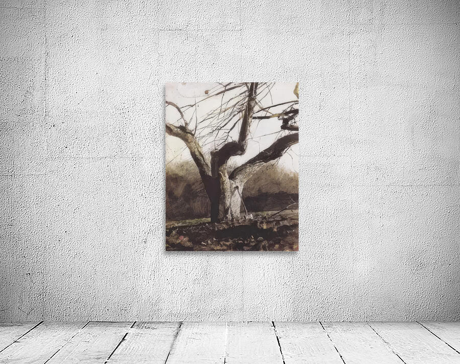 Andrew Wyeth Wall Preview