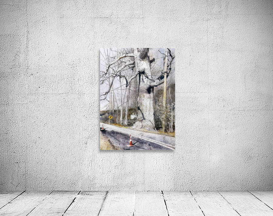 Walking Stick   Contemporary Realism - Andrew Wyeth Wall Preview