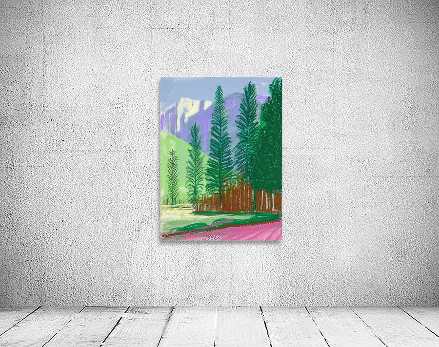 David Hockney 49 Wall Preview