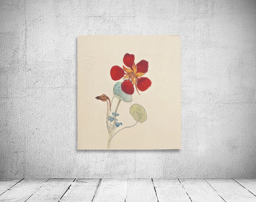 Hilma af Klint 14 Wall Preview