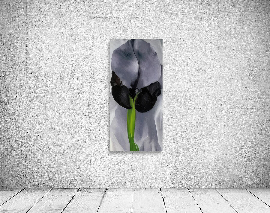 Georgia OKeeffe 42 Wall Preview