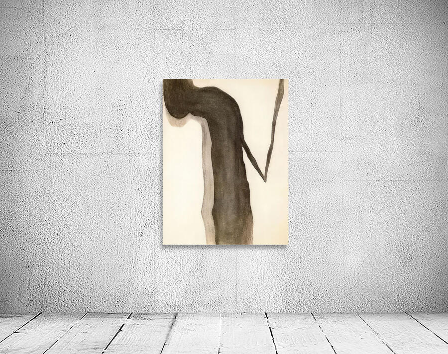 Georgia OKeeffe 69 Wall Preview