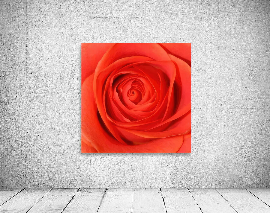 Georgia OKeeffe 26 Wall Preview