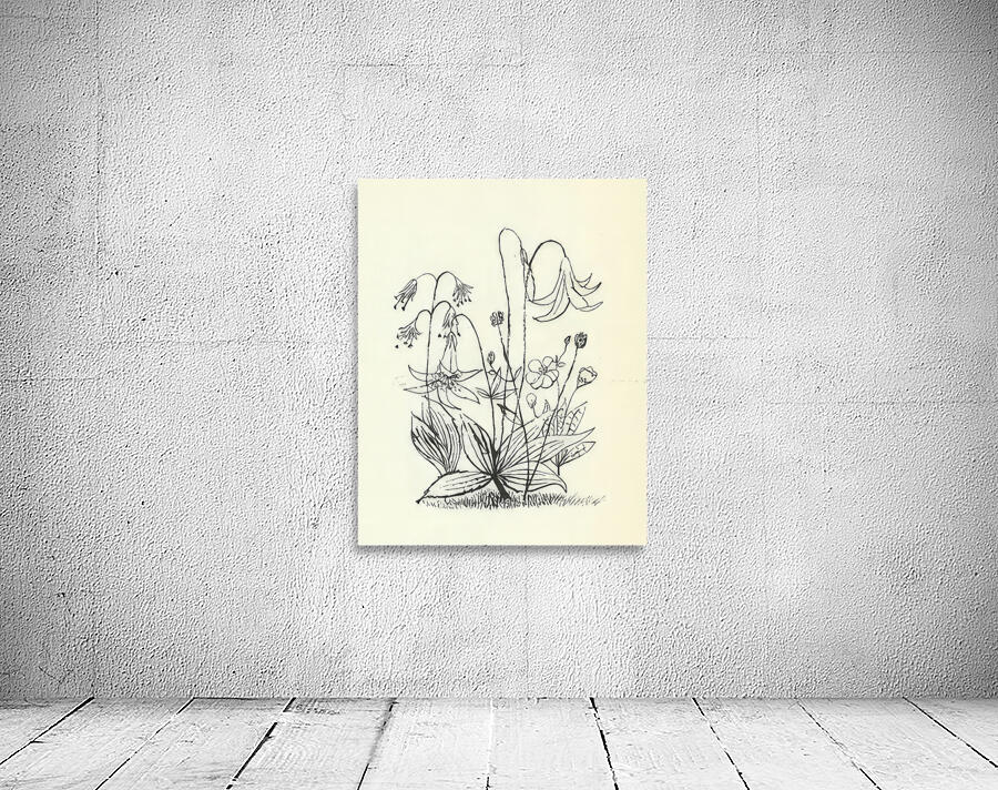 Ben Shahn 35 Wall Preview