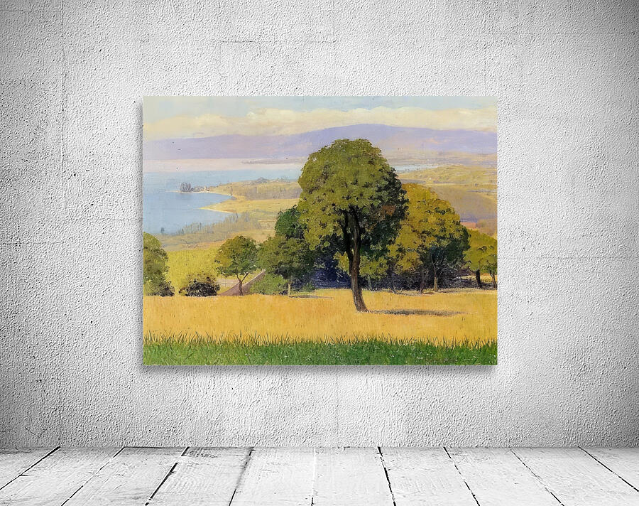 Félix Thiollier 2 Wall Preview