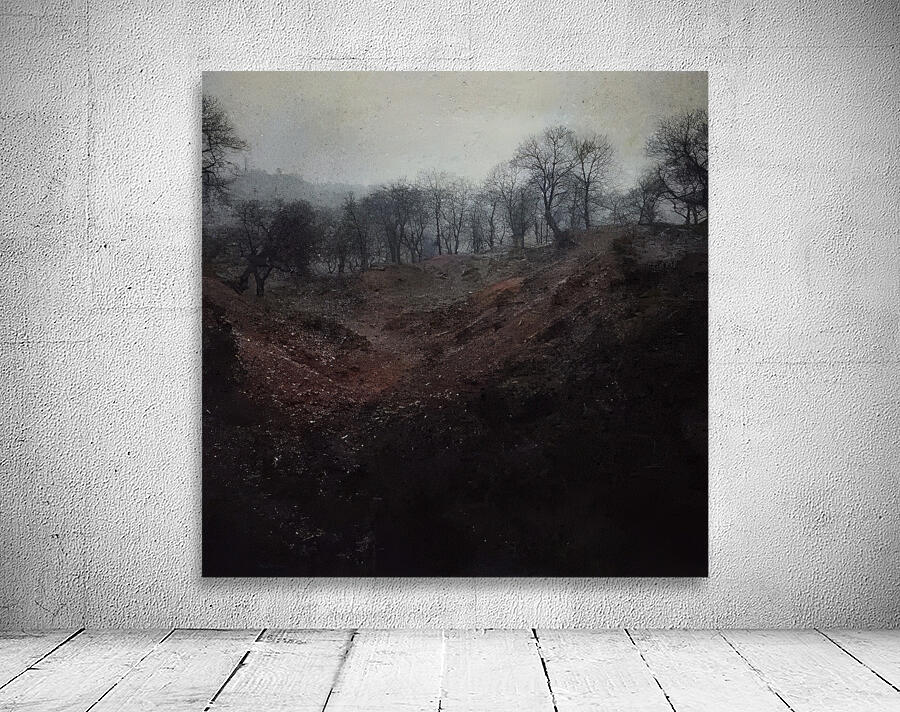 Félix Thiollier 5 Wall Preview