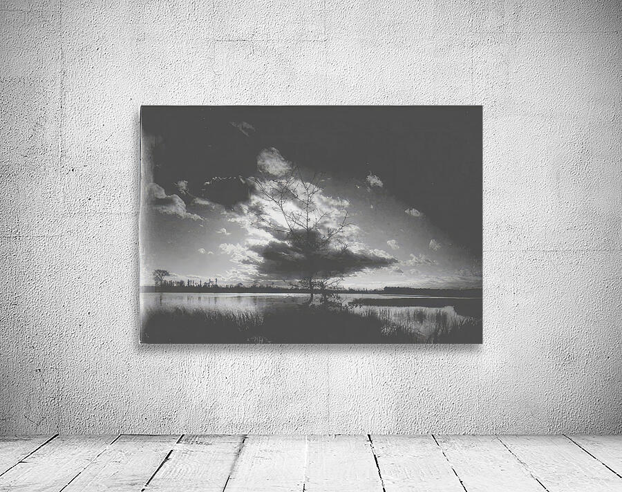 Félix Thiollier 11 Wall Preview