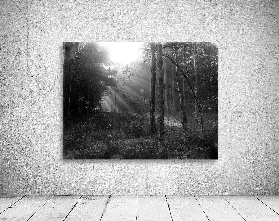 Félix Thiollier 40 Wall Preview