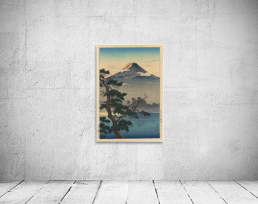 suchiya Koitsu 24 Wall Preview