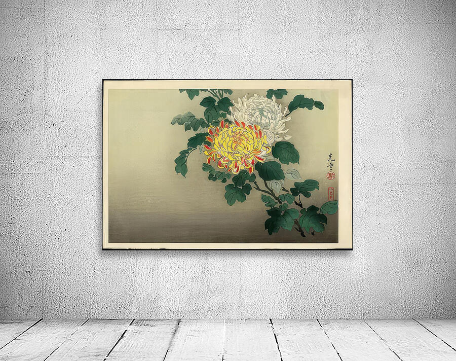 suchiya Koitsu 13 Wall Preview