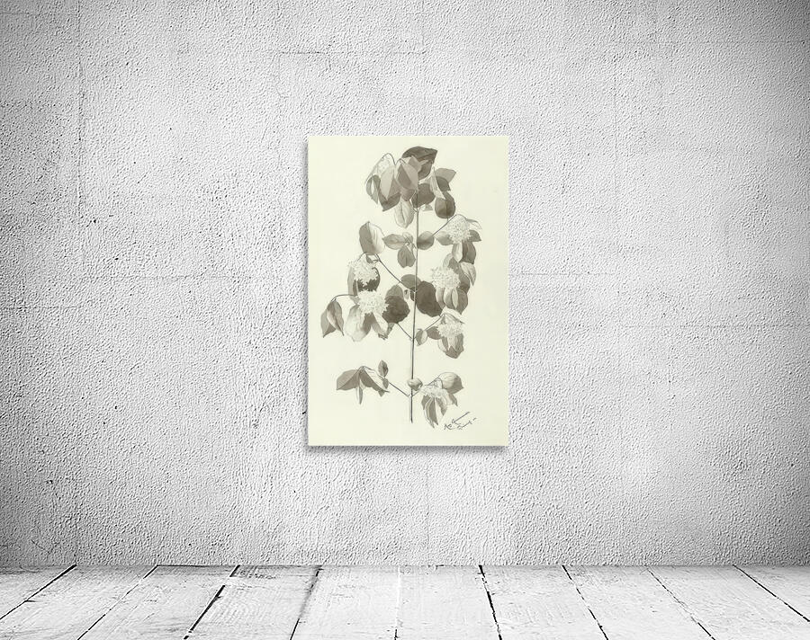 Augusto Giacometti 5 Wall Preview