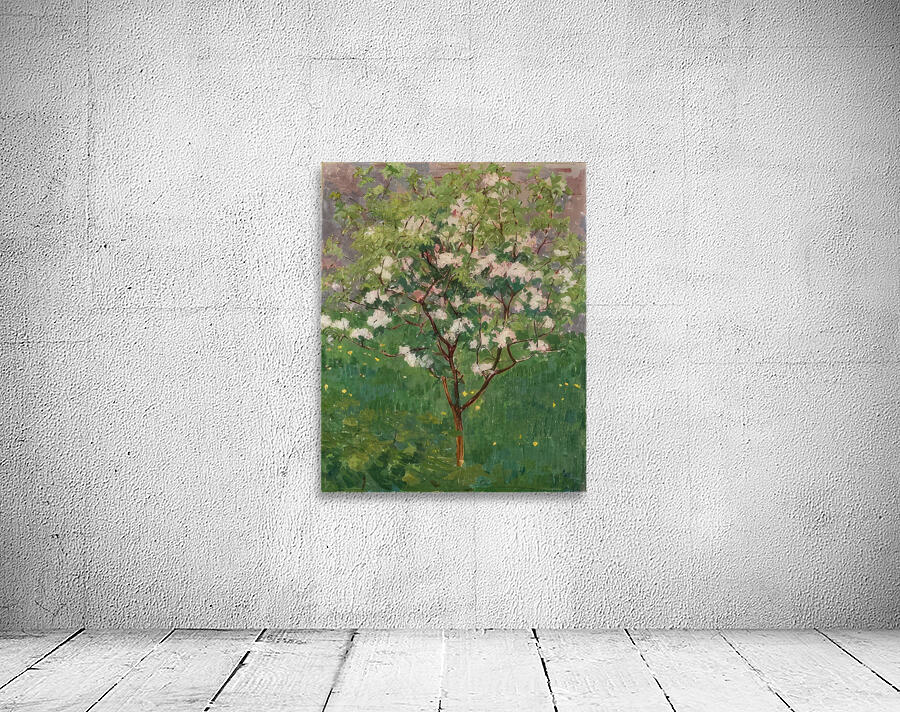 Augusto Giacometti 30 Wall Preview