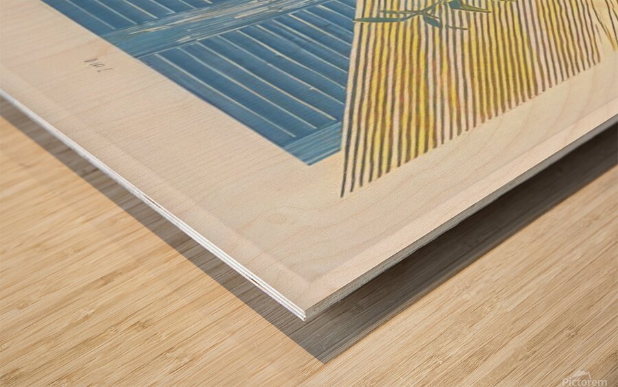 David Hockney  Wood print