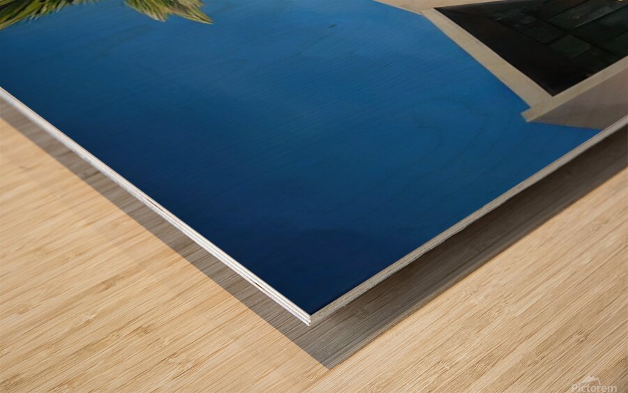 David Hockney 51 Wood print