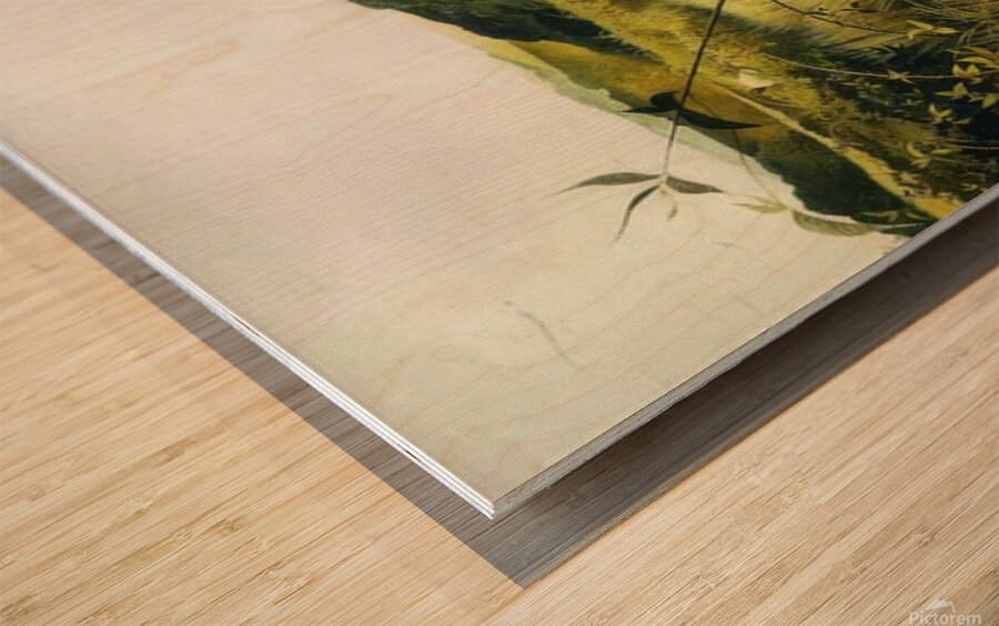 Blackberry Picker   Contemporary Realism - Andrew Wyeth Wood print