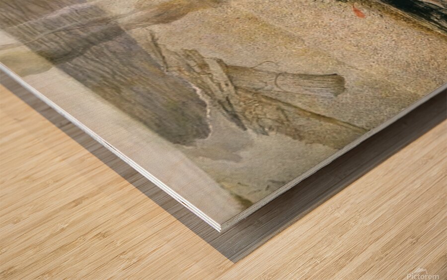 Embers   2000 - Andrew Wyeth Wood print