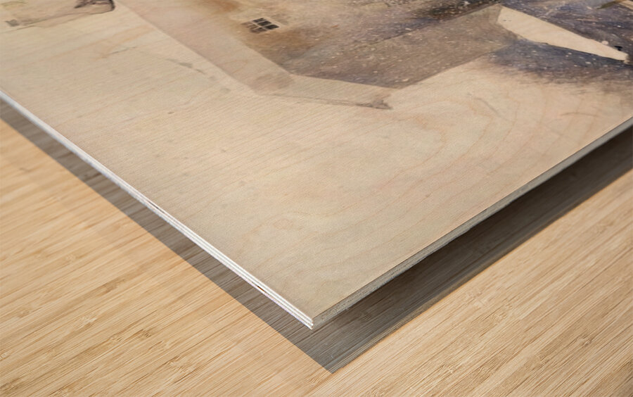 First Snow   Contemporary Realism - Andrew Wyeth Wood print