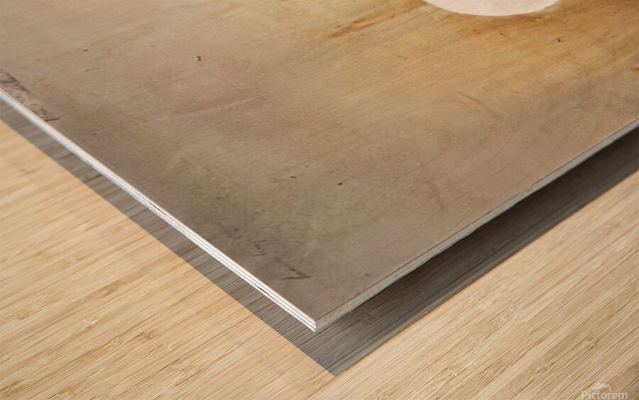 Full Moon   1980 _ Andrew Wyeth Wood print