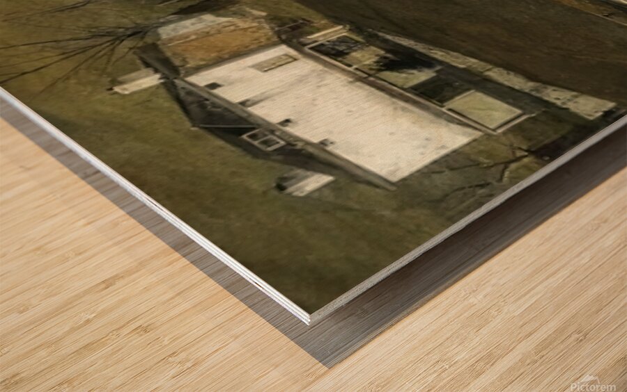 Andrew Wyeth Wood print