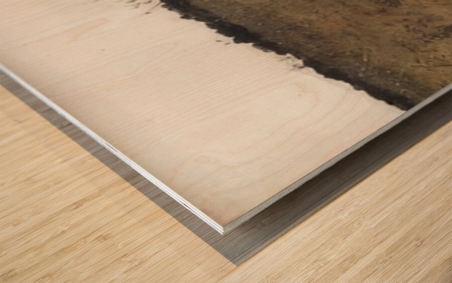 Andrew Wyeth Wood print