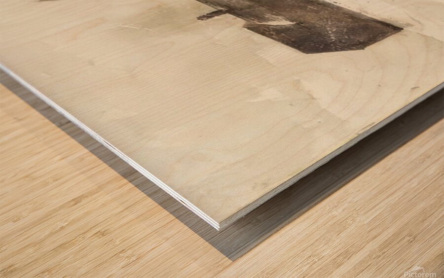 Andrew Wyeth Wood print