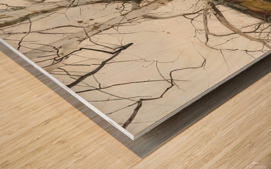 Andrew Wyeth Wood print