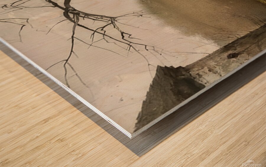 Andrew Wyeth Wood print