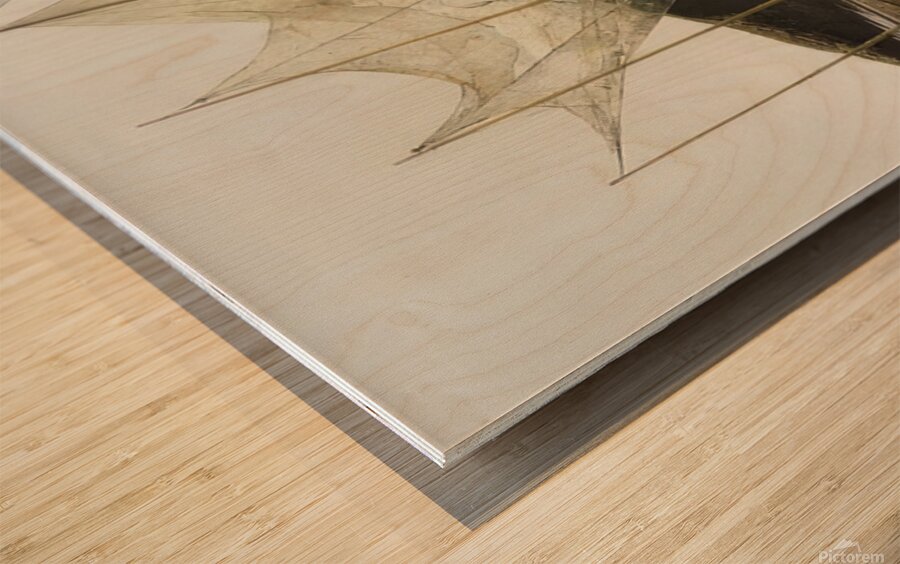 Andrew Wyeth Wood print