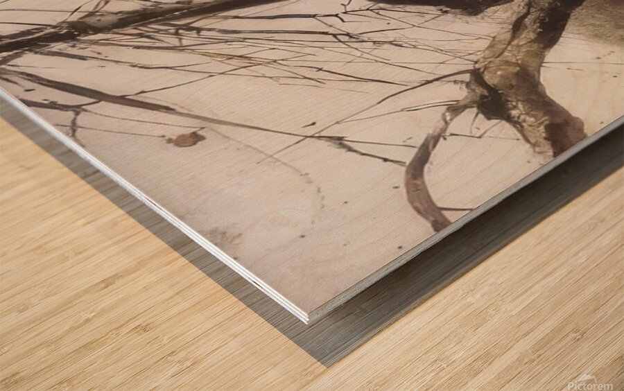 Andrew Wyeth Wood print