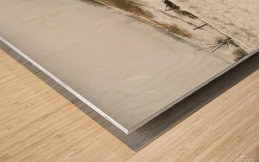 Andrew Wyeth Impression sur bois