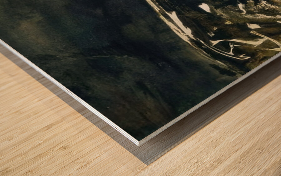 Wolf Moon   1975 - Andrew Wyeth Impression sur bois