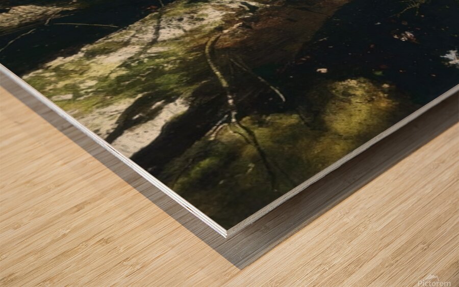 Walking Stick   Contemporary Realism - Andrew Wyeth Wood print